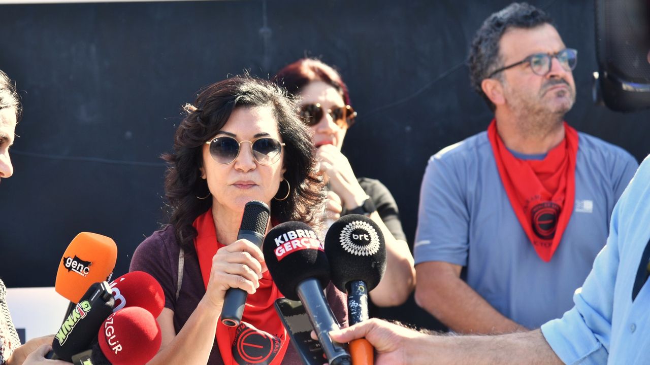 KTOEÖS, Bakanlar Kurulu’nun grev yasağına bugün 11.30'da dava açacak