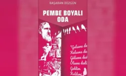 Gazeteci-Yazar Başaran Düzgün’den yeni kitap: Pembe Boyalı Oda