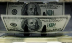 Dolar rekor tazeledi