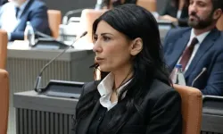 Özdanefe: Trafikte ciddi bir kaos var!