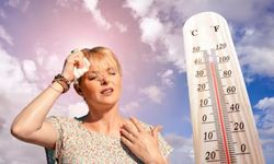 Hava sıcaklığı en yüksek 39 derece
