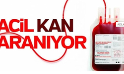 A Rh + pozitif veya A Rh - negatif kan aranıyor!