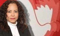 Adalet arayan aileler yalnız değil: TDP hesap soruyor