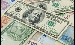 Döviz kurları rekor tazeledi
