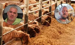 Hayvancılar isyanda: Balyasız kalacağız, sütün maliyet hesabını ilettik