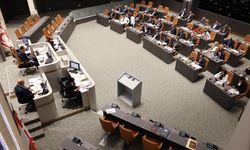 AÖA, LAÜ ve DAÜ bütçeleri Meclis’te oy çokluğuyla kabul edildi