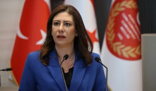 İncirli: "Ülkede kadın istihdamı arzu edilen seviyede değil"
