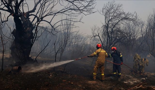 Yunanistan'da orman yangınları nedeniyle bazı yerleşim alanları boşaltıldı