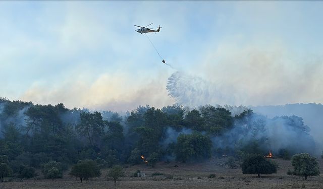 Aydın, Antalya ve Muğla'daki yangınlara müdahale sürüyor