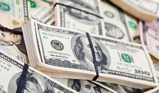 Dolar rekor tazeledi