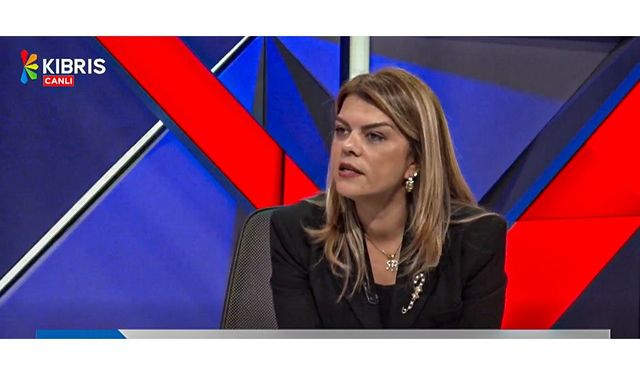 Ayşe Öztabay Ev İçi Şiddet Yasası geçmeden kadınlar güvende değil