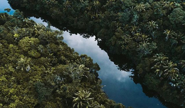 Amazon, milyonlarca yıldır görülmeyen ‘hipertropikal’ bir iklime sürükleniyor