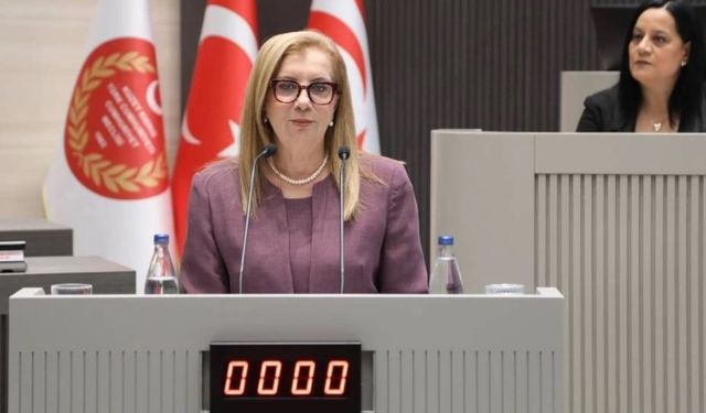 "Canaltay Meclis’te konuştu: “Nüfus sayımına ihtiyaç duyuyoruz”