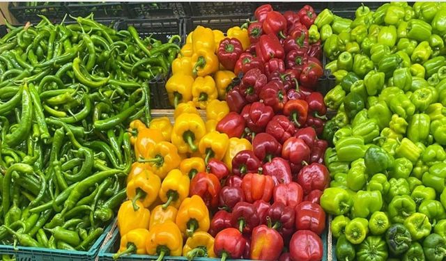 3 biber ve 1 ıspanak numunesinde limit üstü veya tavsiye dışı bitki koruma ürünü tespit edildi