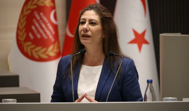 Lefke Gazi Lisesi'nin durumu Meclis'e taşındı: Başbakan'a birlikte inceleme çağrısı