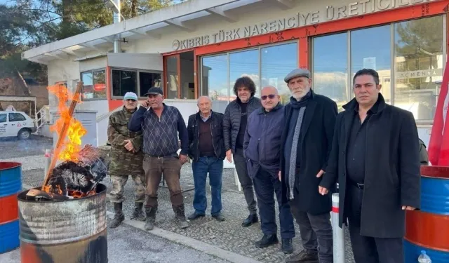 Narenciye Üreticiler Birliği’nden Cypfruvex'e: Paketleme tesisinin kapatılması üreticiyi zarara uğrattı