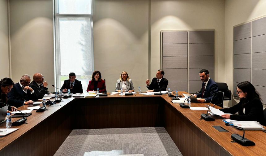 Hukuk, Siyasi İşler, Dışilişkiler ve Savunma Komitesi, Mahkemeler (Değişiklik) Yasa Tasarısı’nı ele aldı