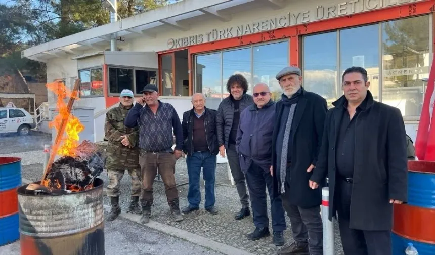 Narenciye Üreticiler Birliği’nden Cypfruvex'e: Paketleme tesisinin kapatılması üreticiyi zarara uğrattı